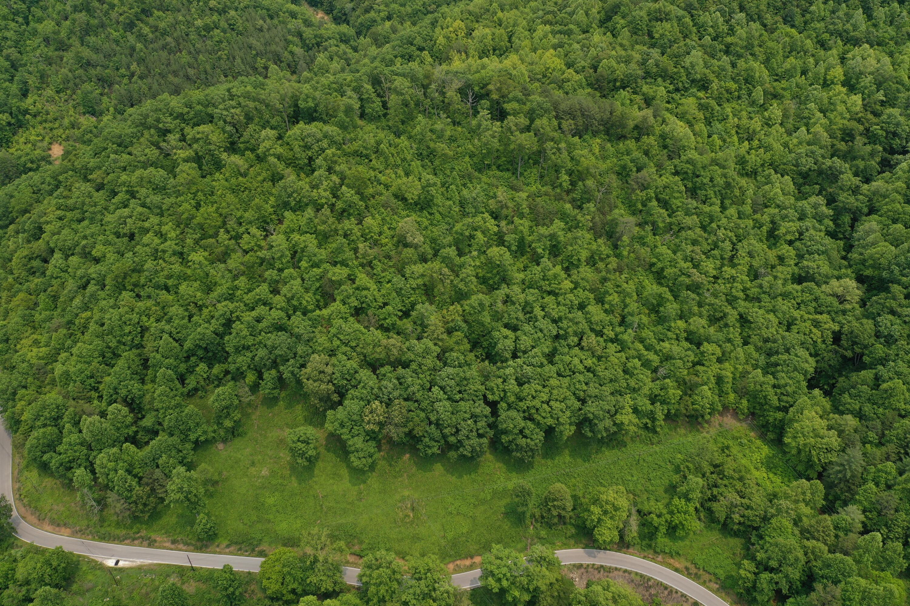 Image 1: DJI_0227