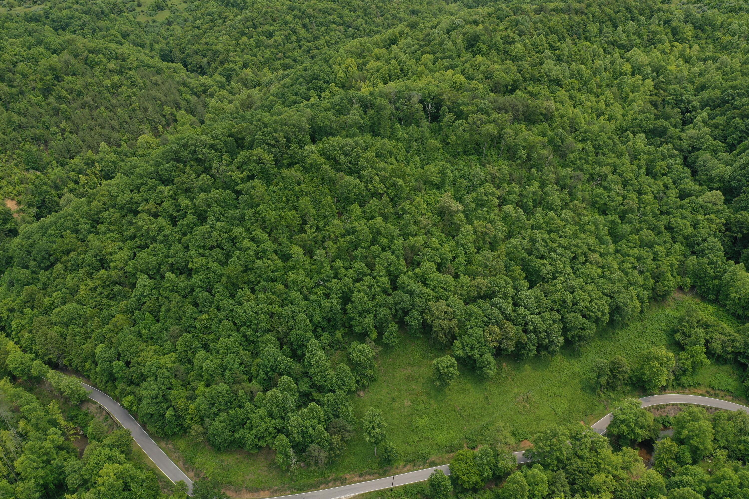 Image 2: DJI_0230