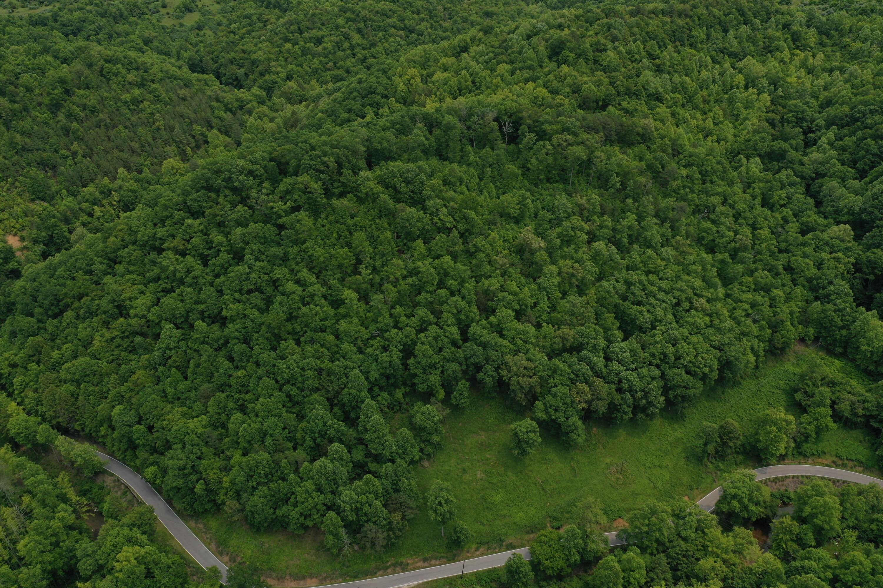 Image 3: DJI_0231