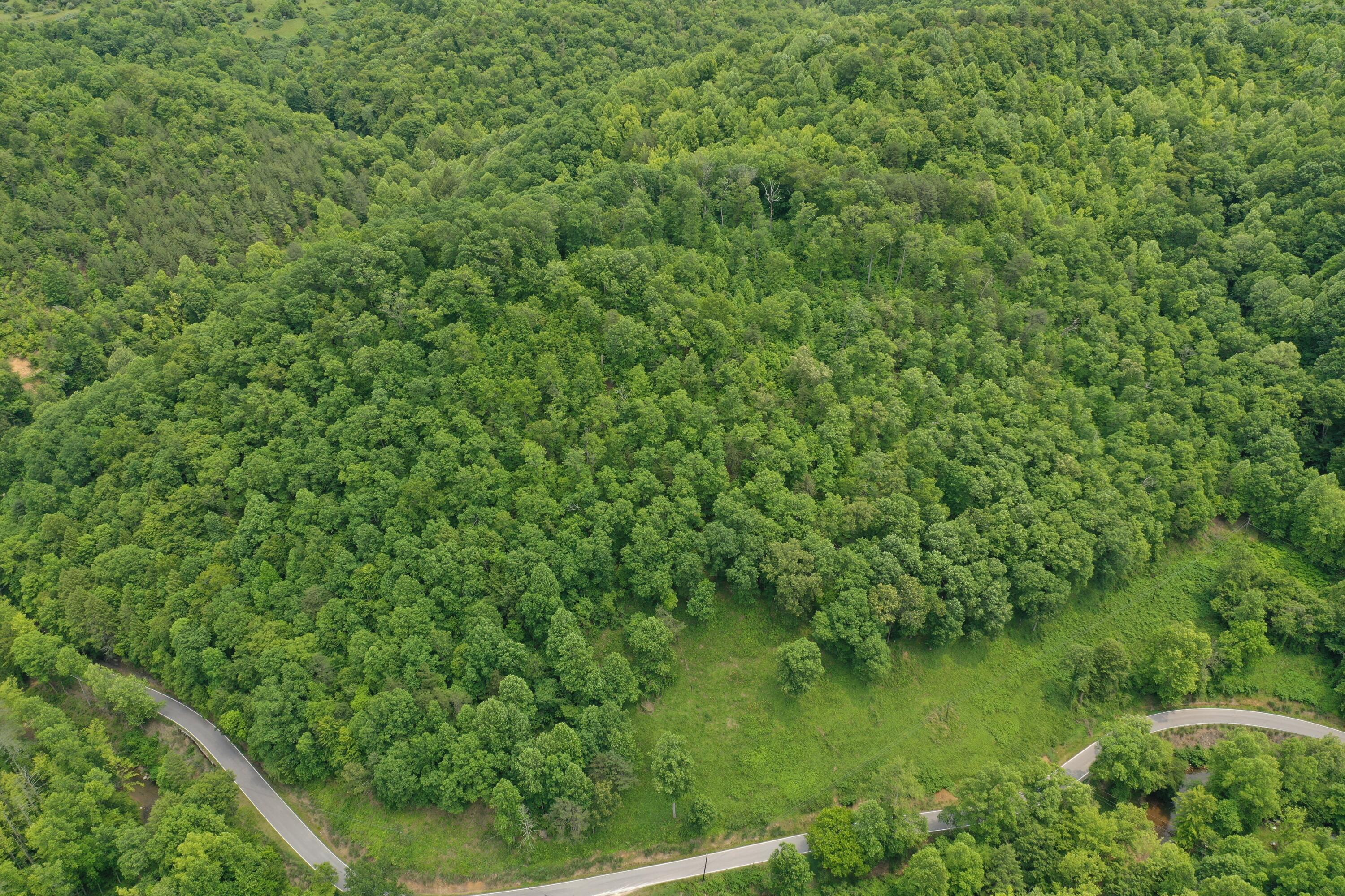 Image 4: DJI_0232