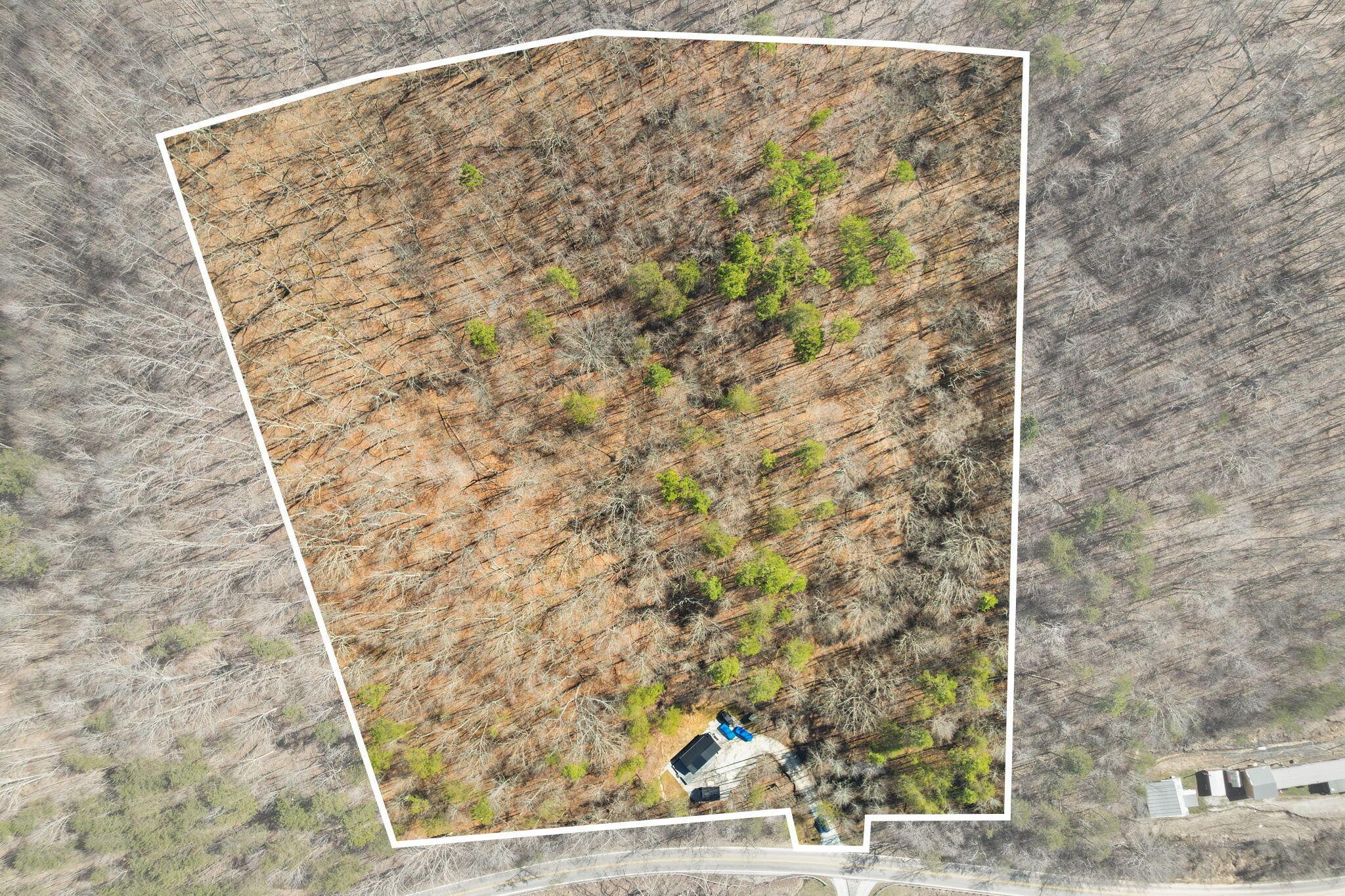 Image 2: 30-web-or-mls-1