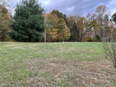 353 Buffalo Trace Road