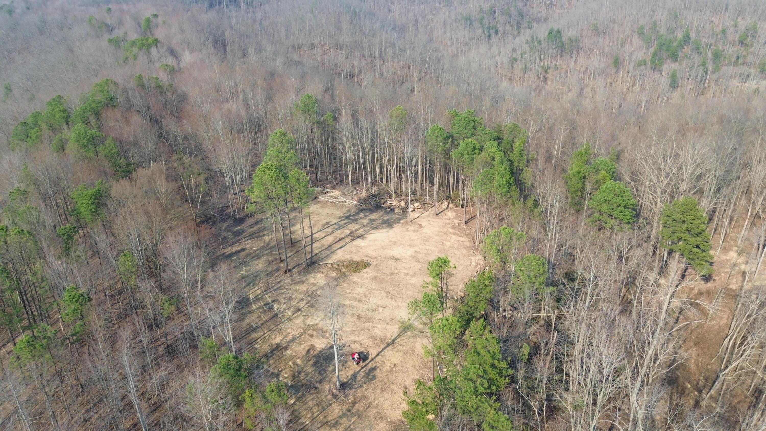Image 1: Ridge Top