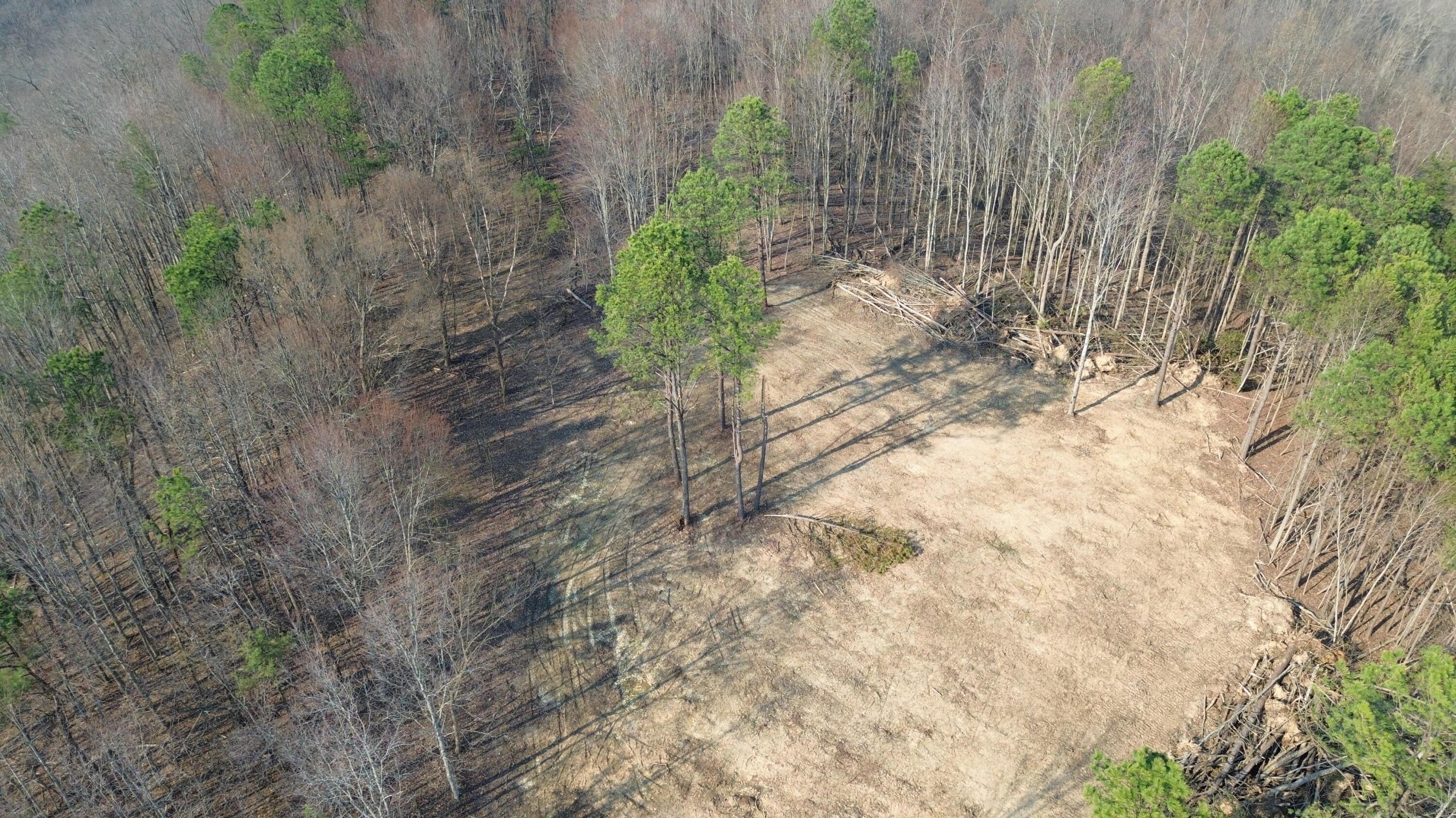Image 2: Ridge Top