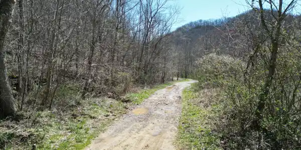 9999 Hales Fork Road