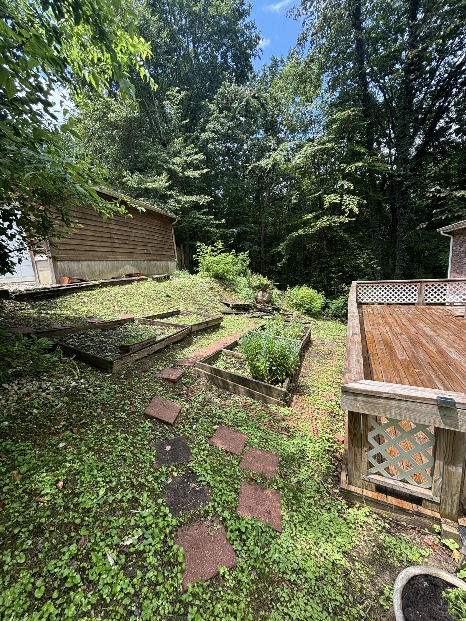 Image 4: Garden Area