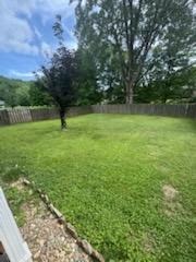 Image 3: IMG_7762