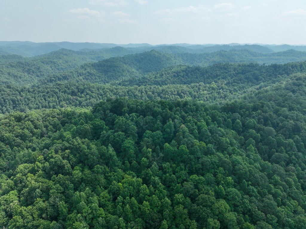 Image 1: DJI_0168