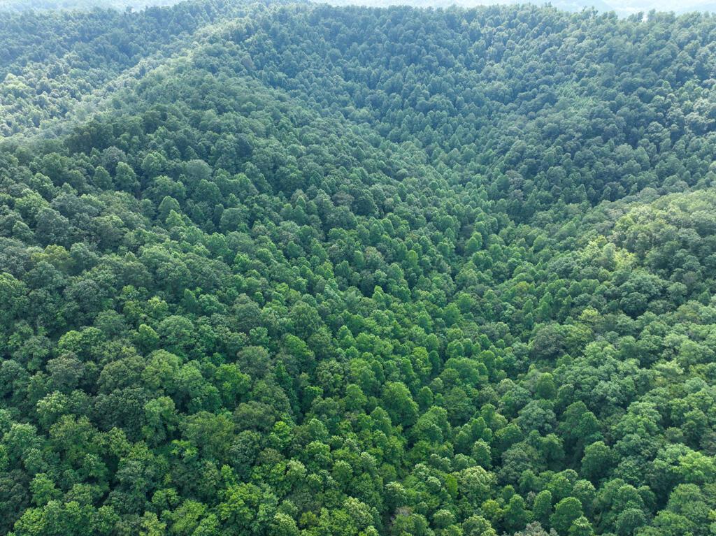 Image 2: DJI_0167