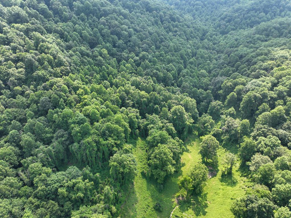 Image 4: DJI_0164