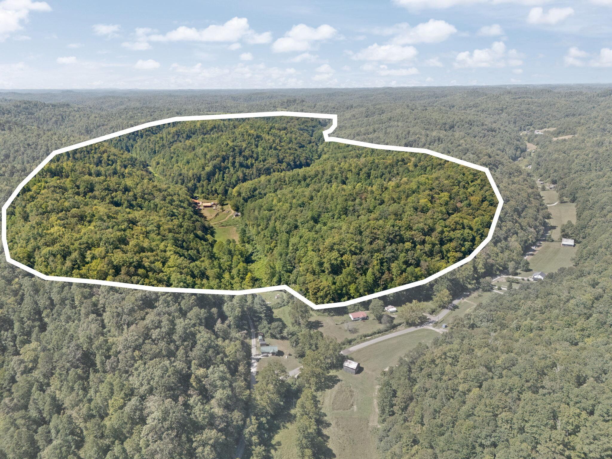 Image 2: 62-web-or-mls-1