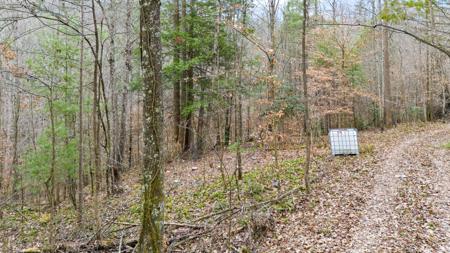 Lot 21 Lacey Lane
