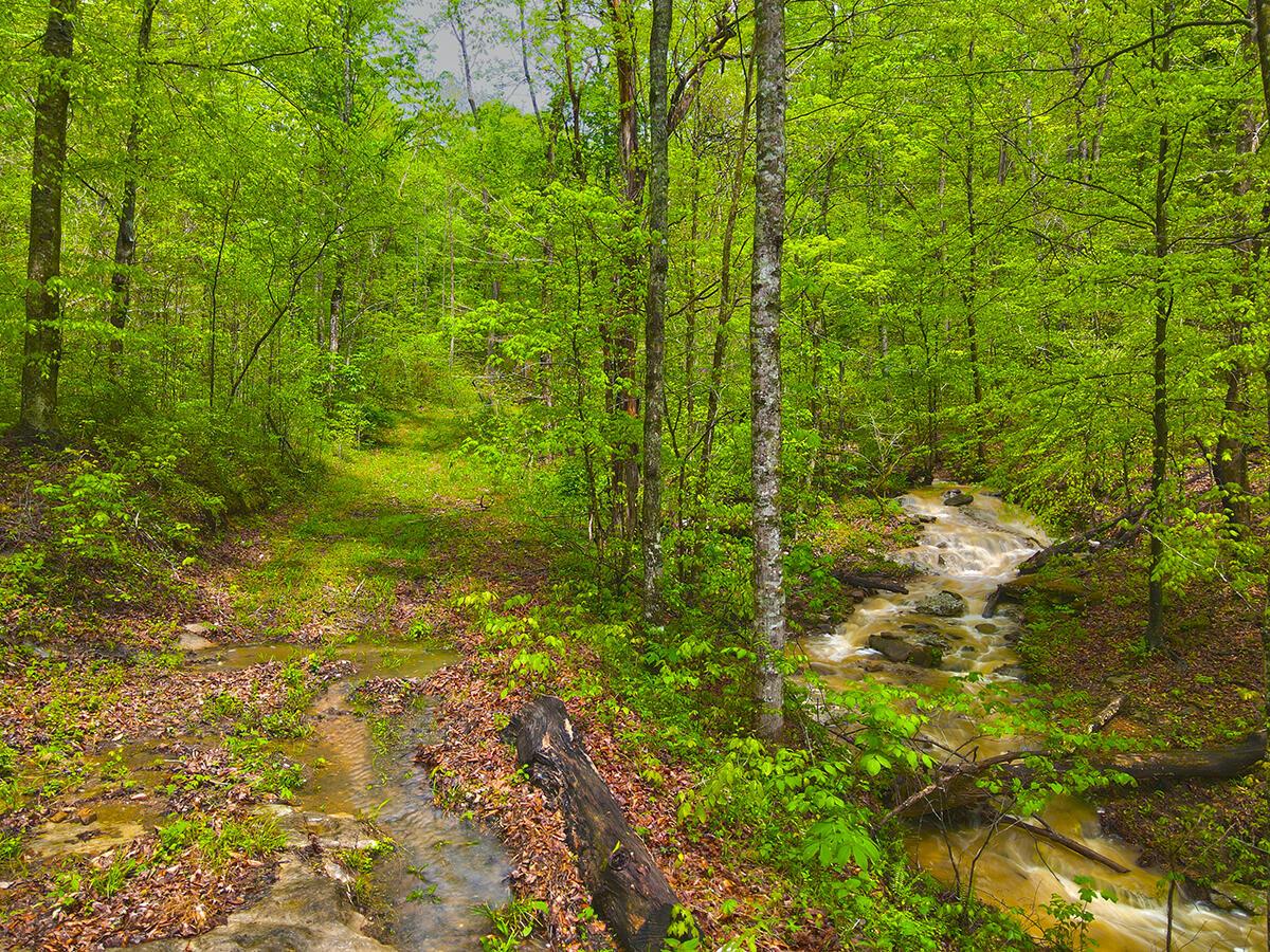 Image 2: Untitled_HDR10