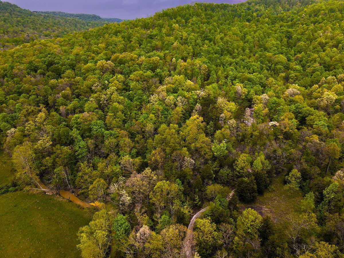 Image 3: Untitled_HDR16