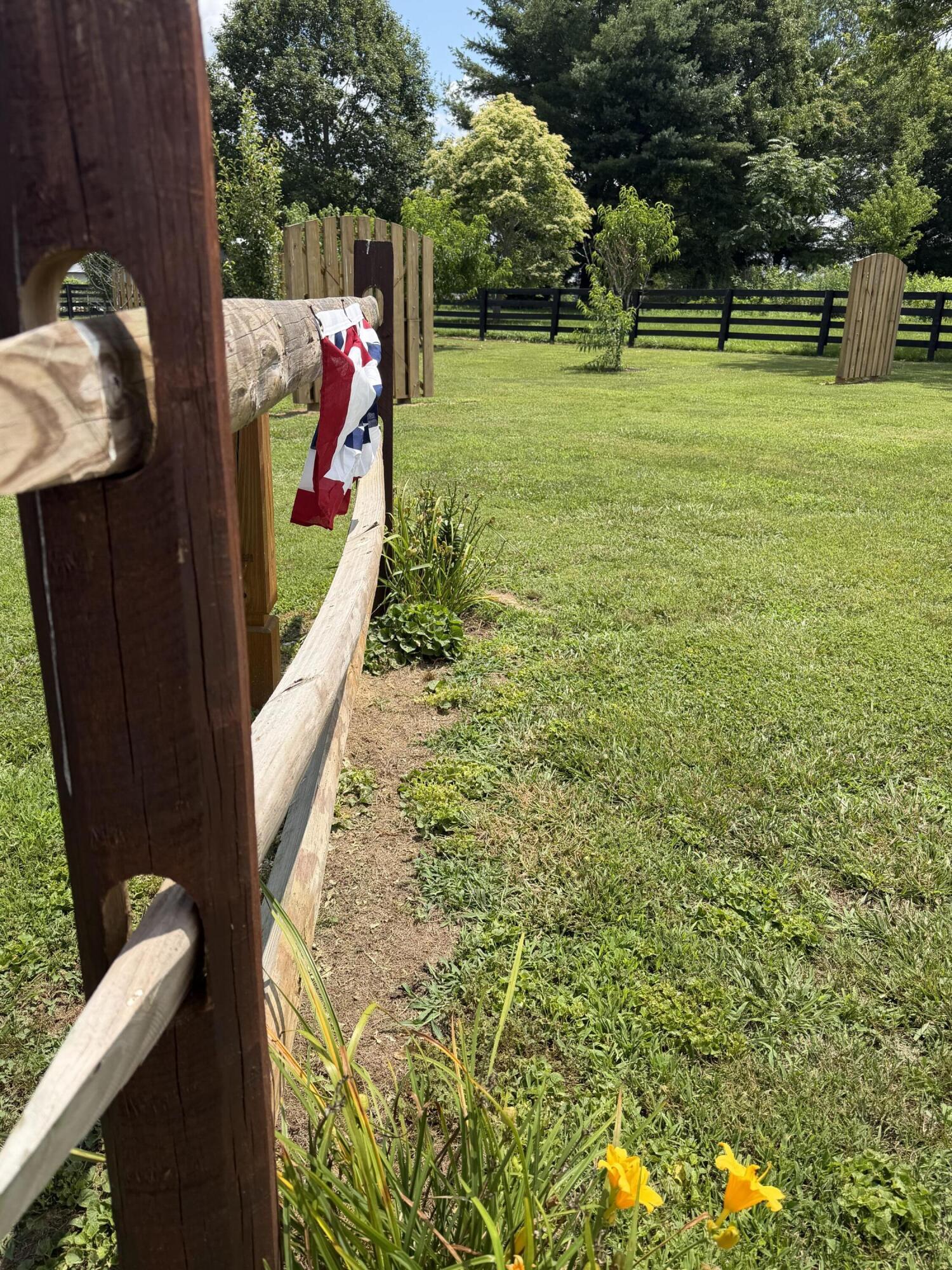 Image 3: IMG_0070