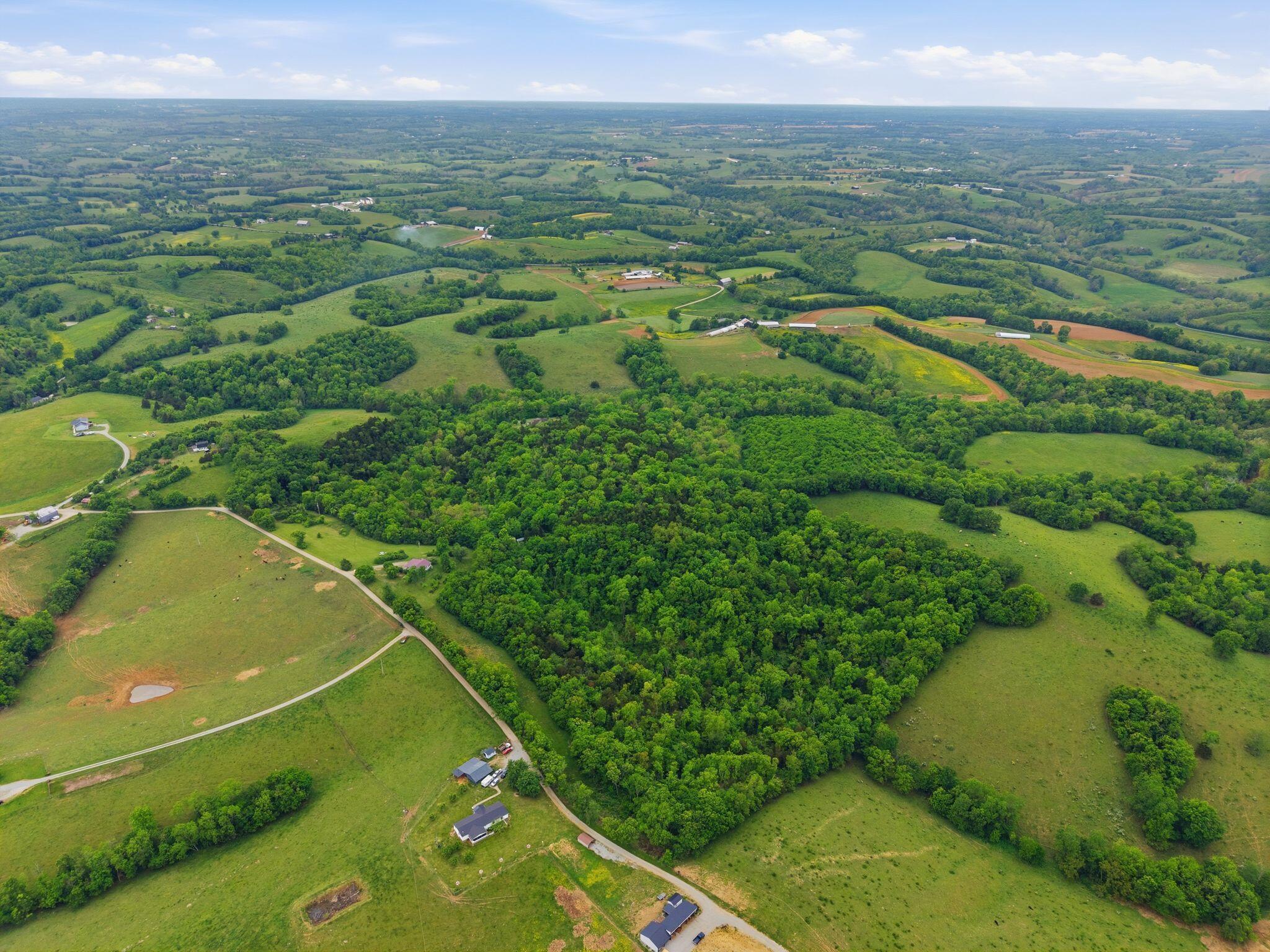 Image 3: 5_008_dji_20260509114911_0024_d