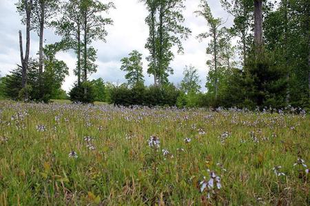 Lot 100 Cumberland Shores