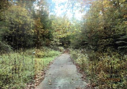 0 Halls Branch Road