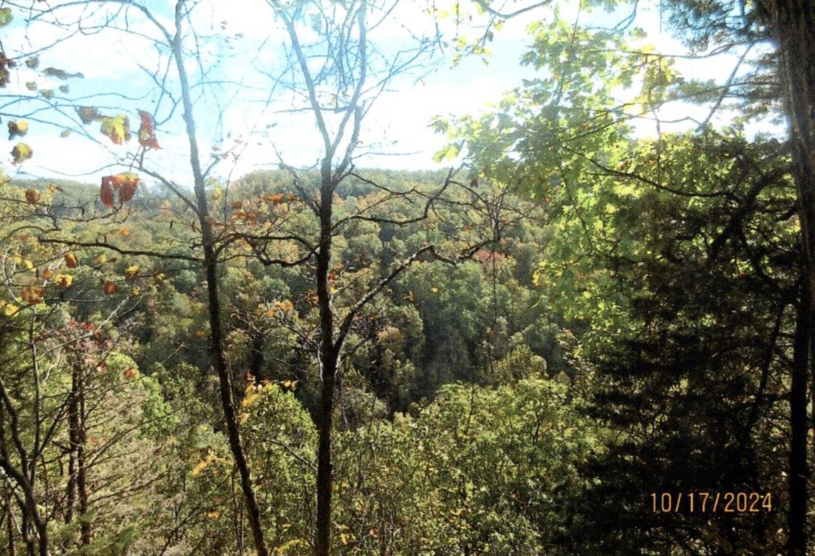 Image 2: IMG_6697