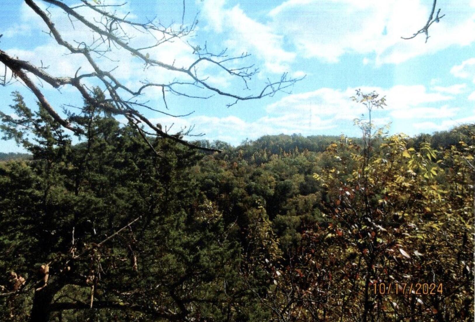 Image 4: IMG_6699