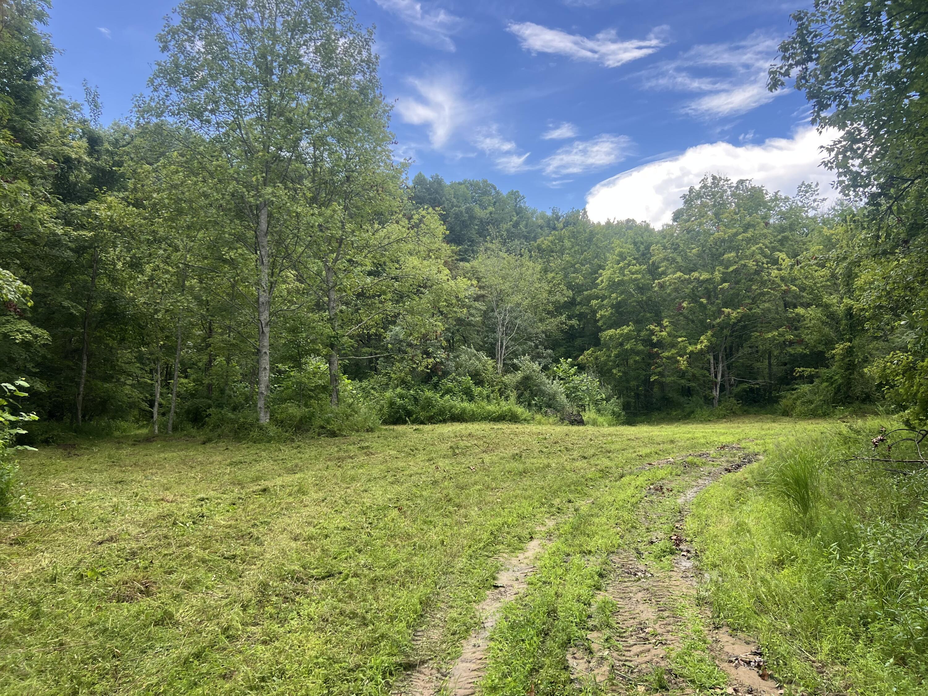 Image 4: Field