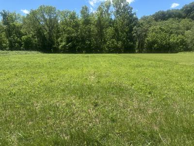 11 Monkey Bluff Road