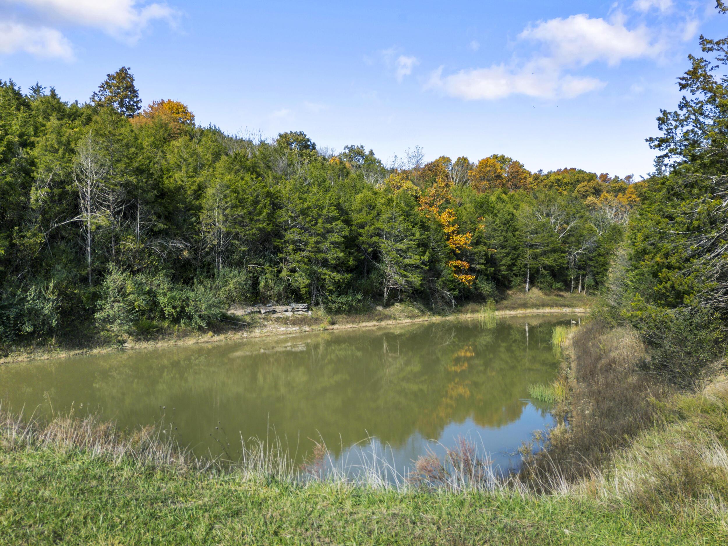 Image 3: 30_dji_20251101112252_0387_d