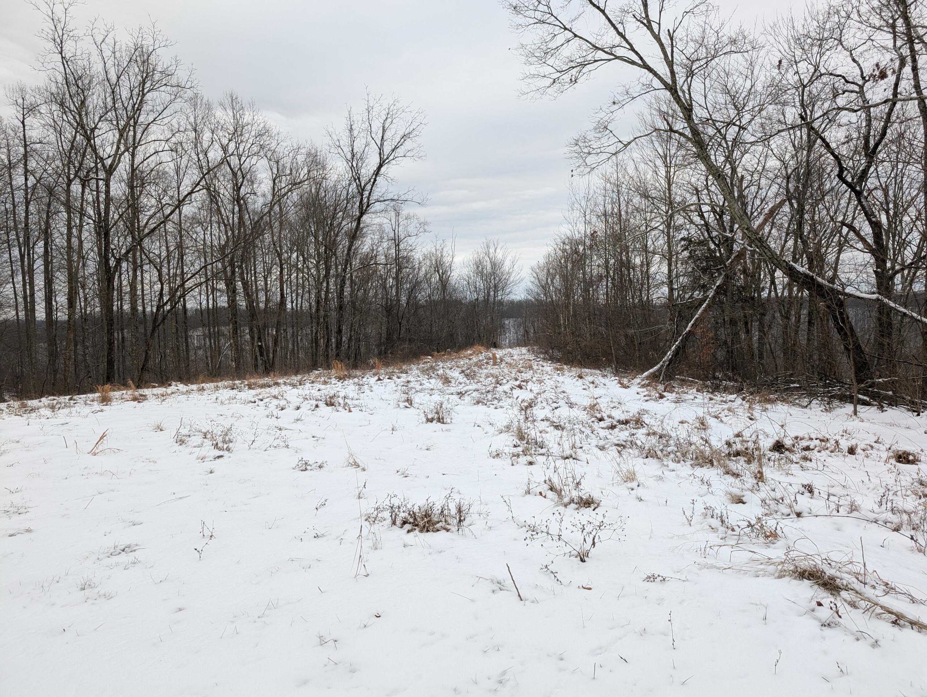 Image 2: PXL_20260202_145051330.MP