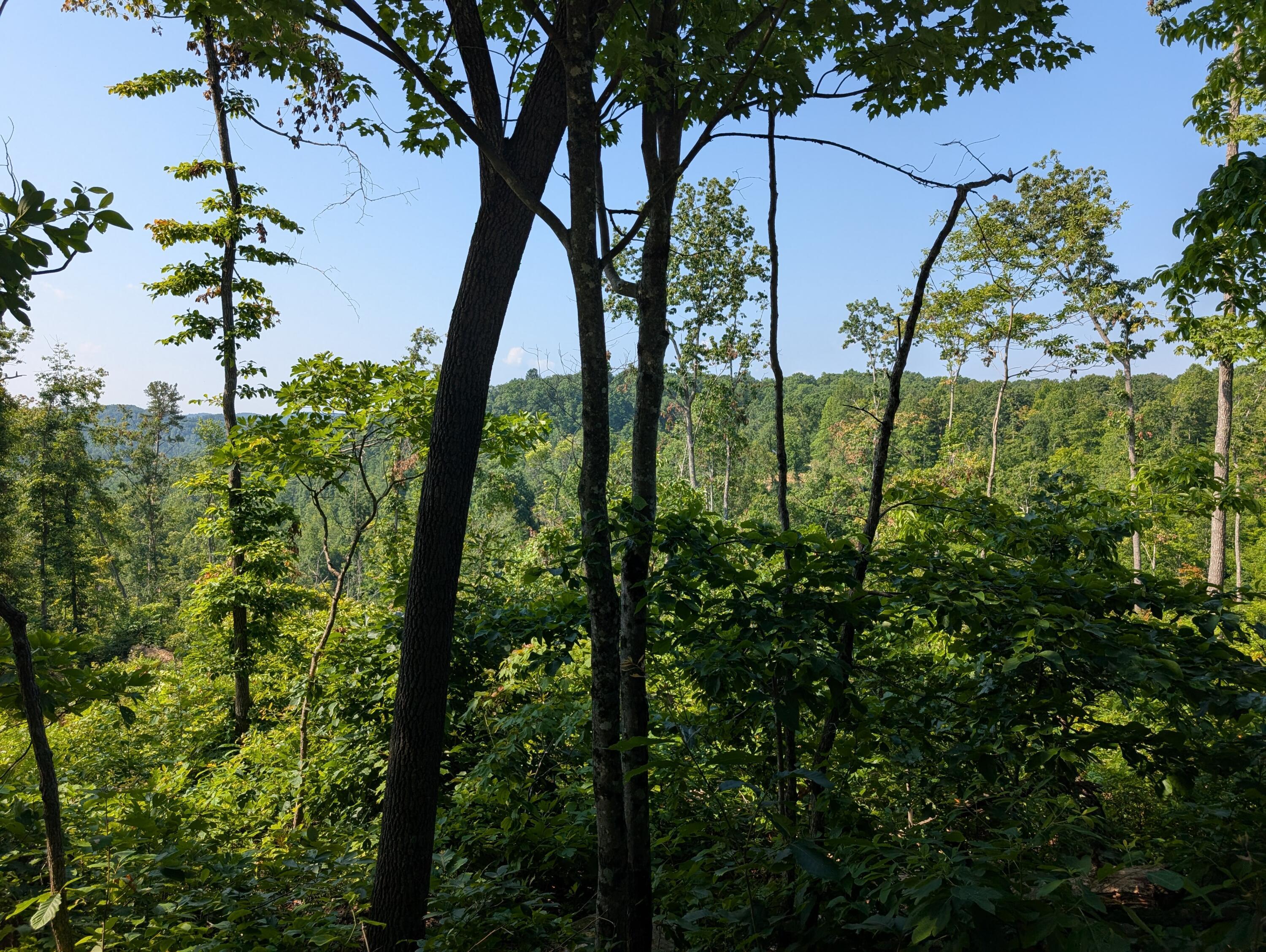 Image 4: PXL_20250626_143151913