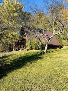 12515 Morehead Road