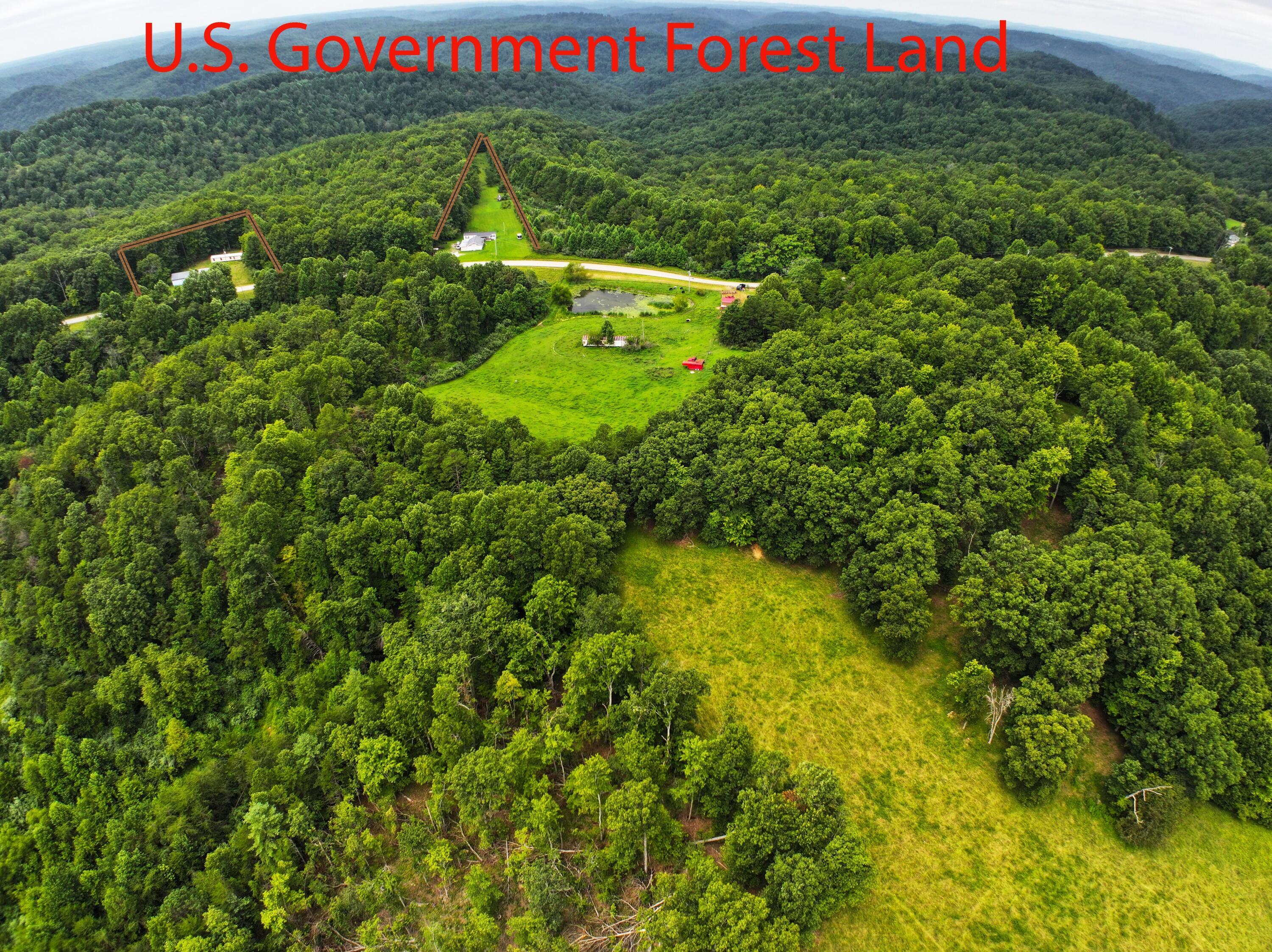 Image 2: US Forest Land