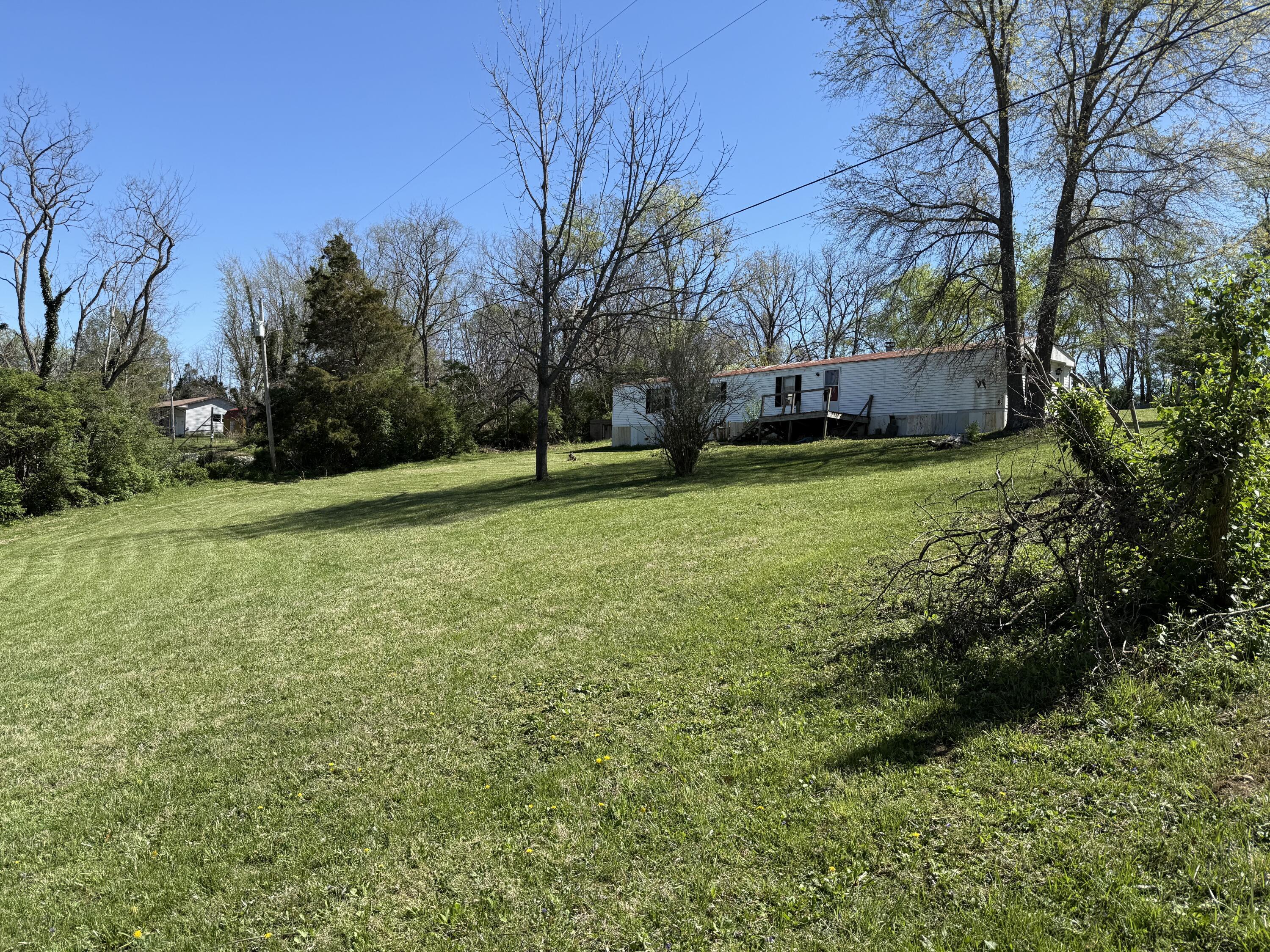 Image 3: IMG_4025