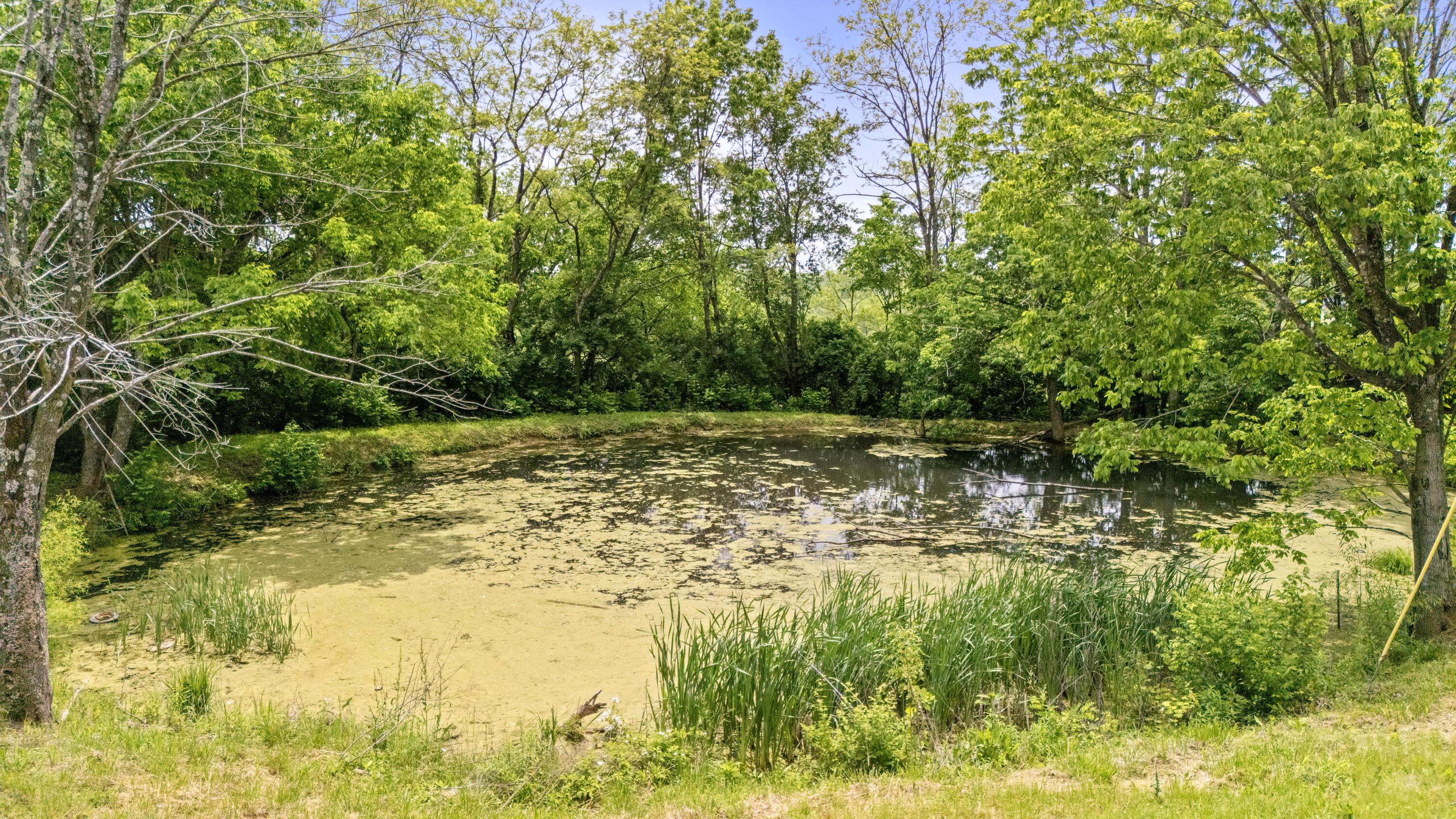 Image 3: DJI_20250515140405_0071_D