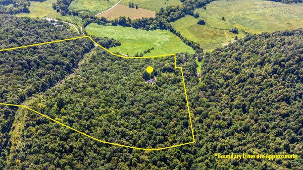 Image 2: 43_dji_20250811080148_0031_d