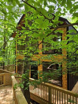 Image 4: 20250524_133348