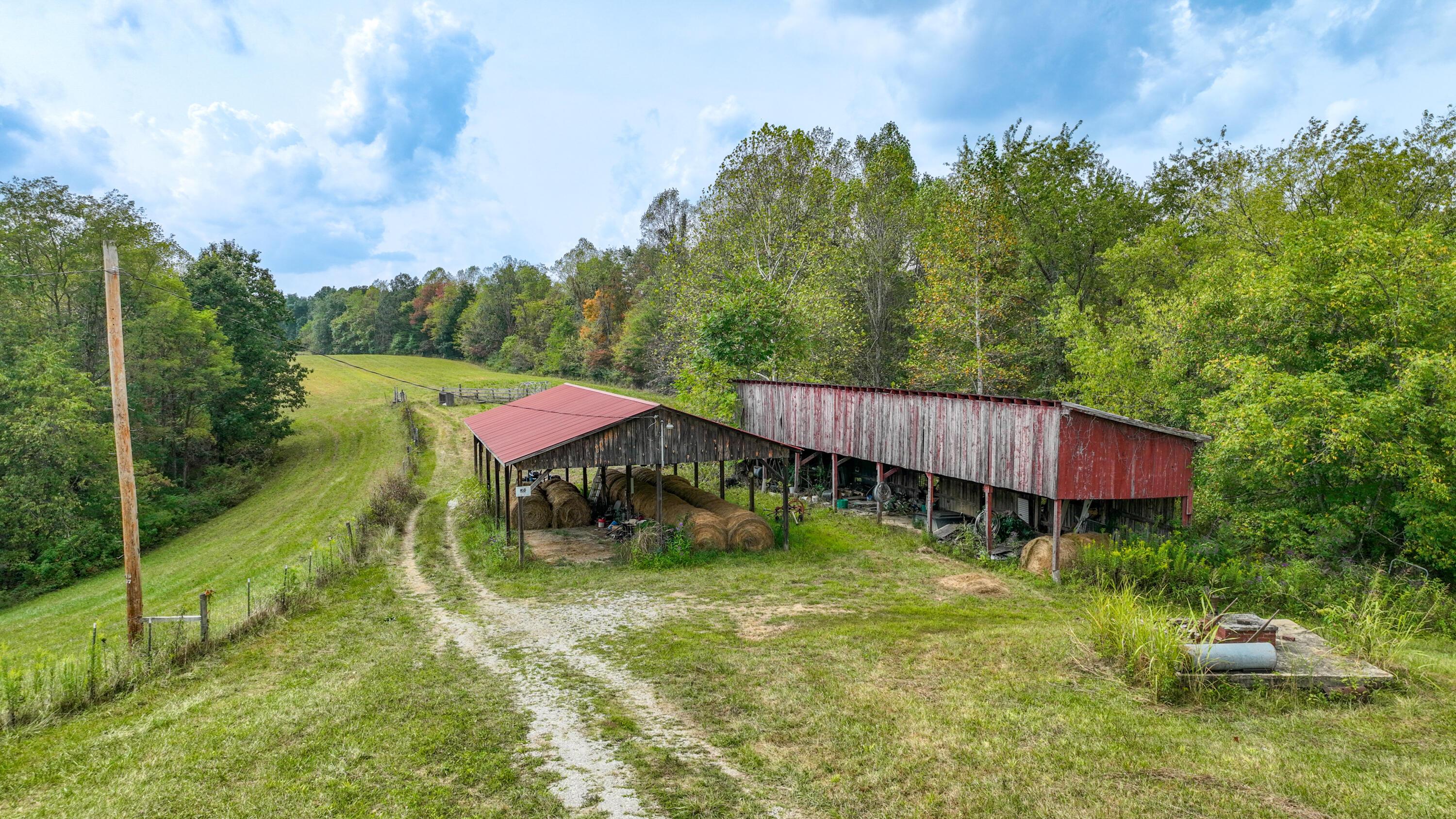 Image 4: 242 Lodge Hall Rd.-7