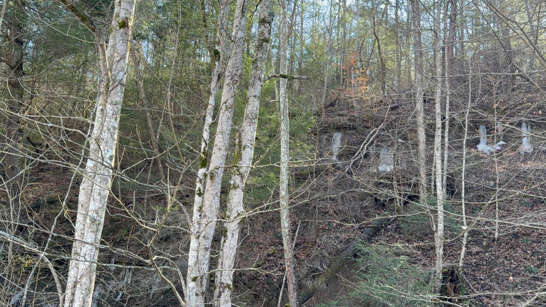 Image 3: b3