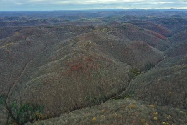 Image 3: Cow Fork 1