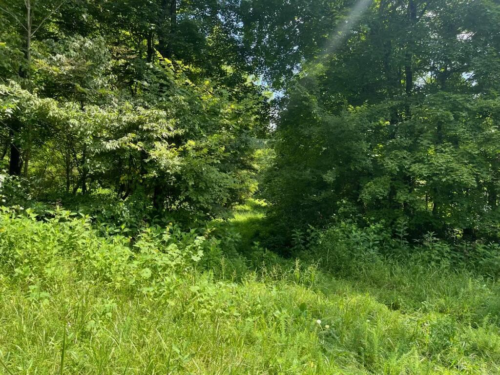 Image 3: IMG_7786