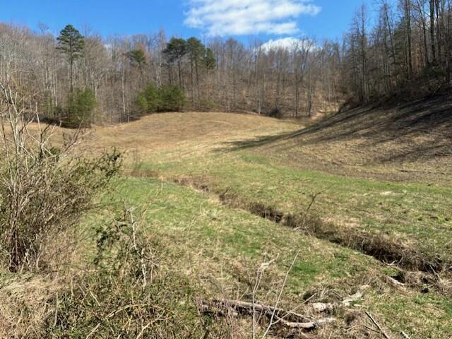 Image 2: Acreage