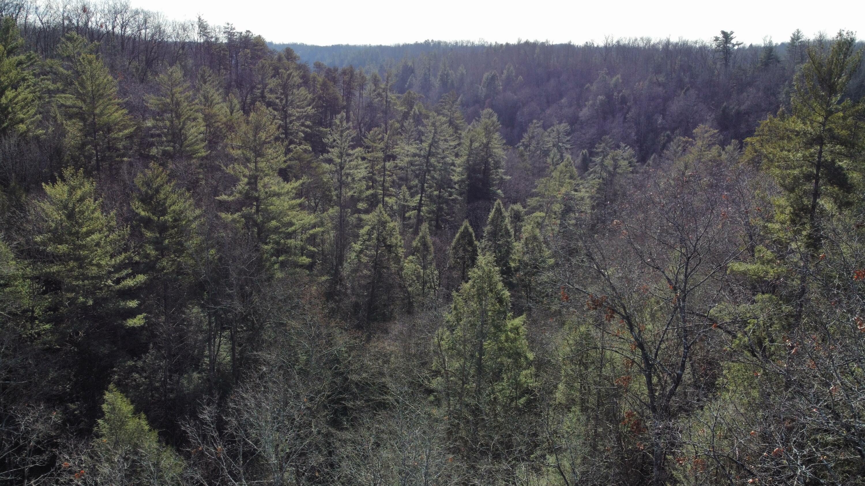 Image 4: dji_fly_20250102_131656_676_173584192511