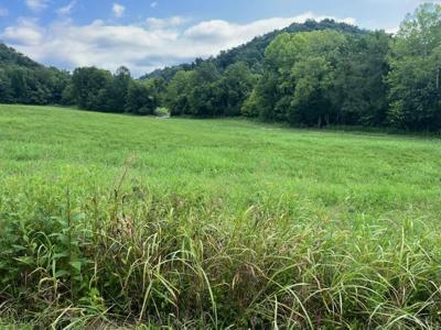 Lot 15 Long Hollow Acres