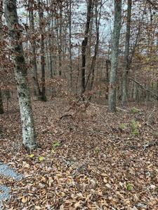 Lot 26 Peach Tree Ln