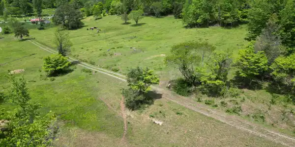 Image 2: DJI_0945