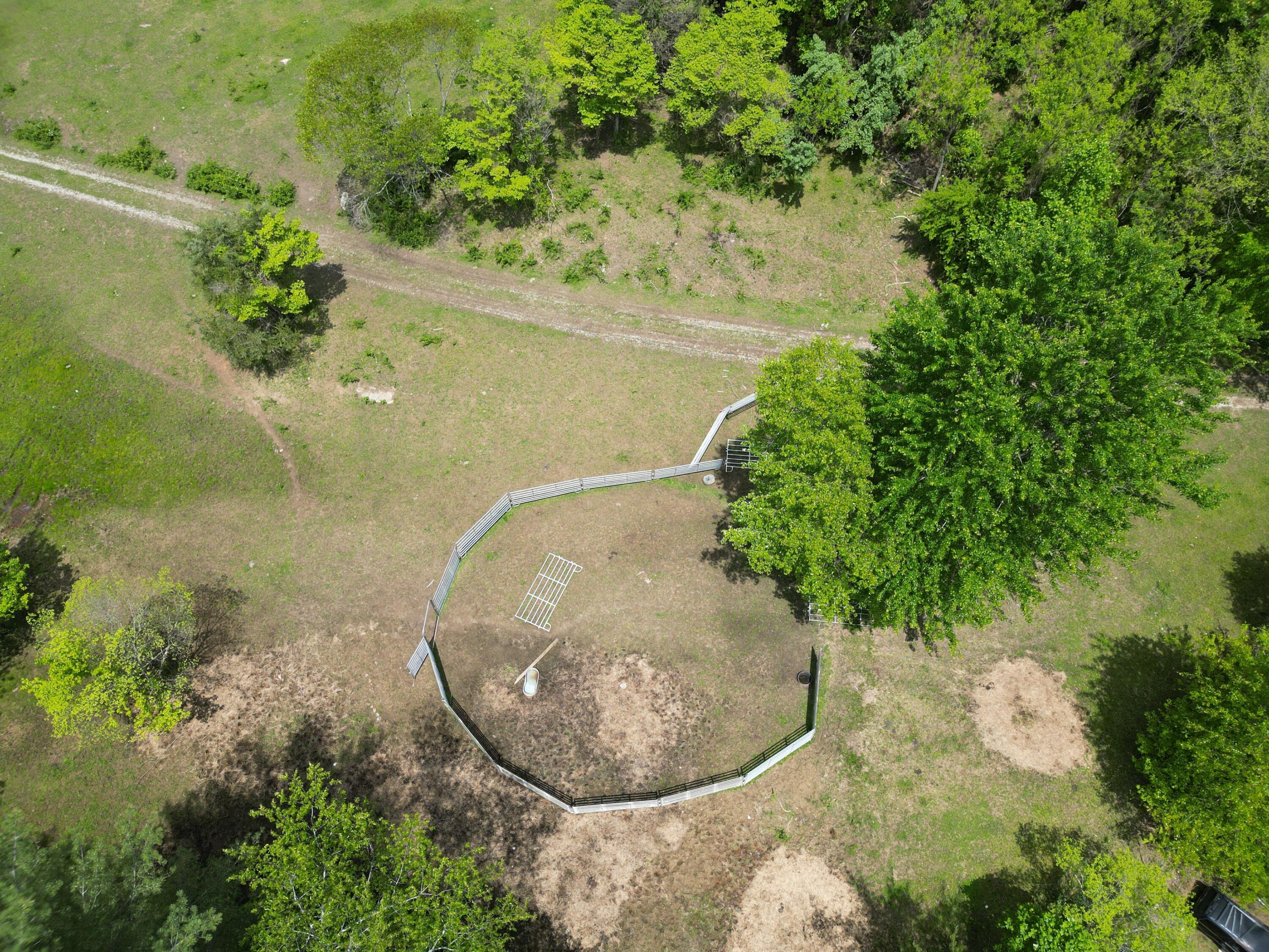 Image 3: DJI_0946