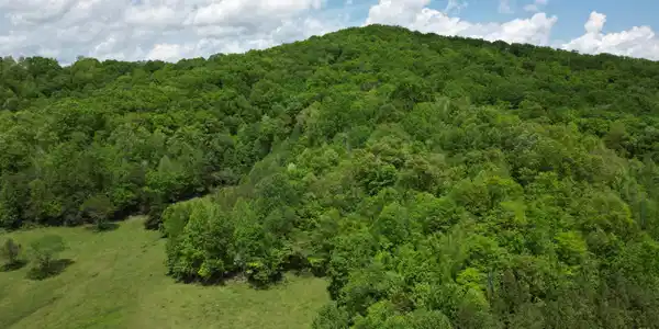 Image 4: DJI_0947