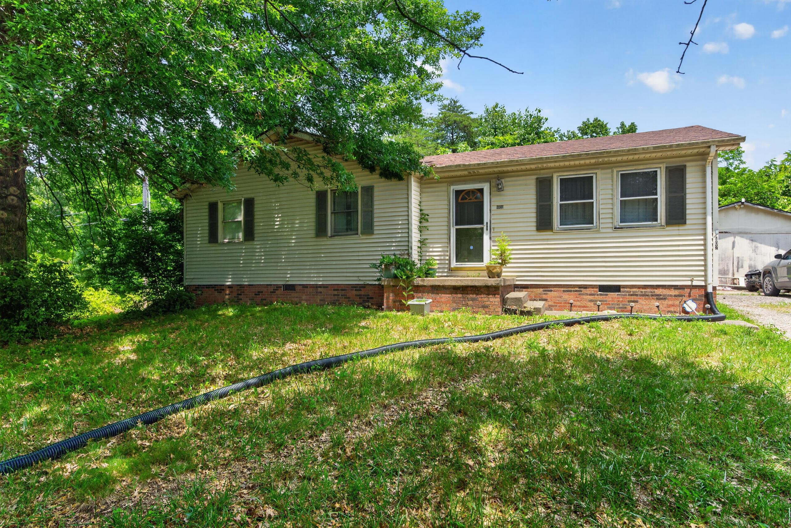 Image 4: 1020sdogwood01