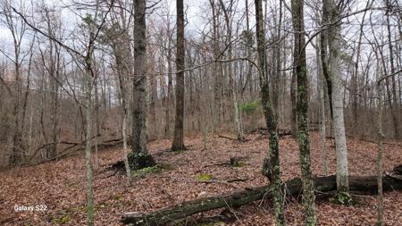 3504 East Fork Road