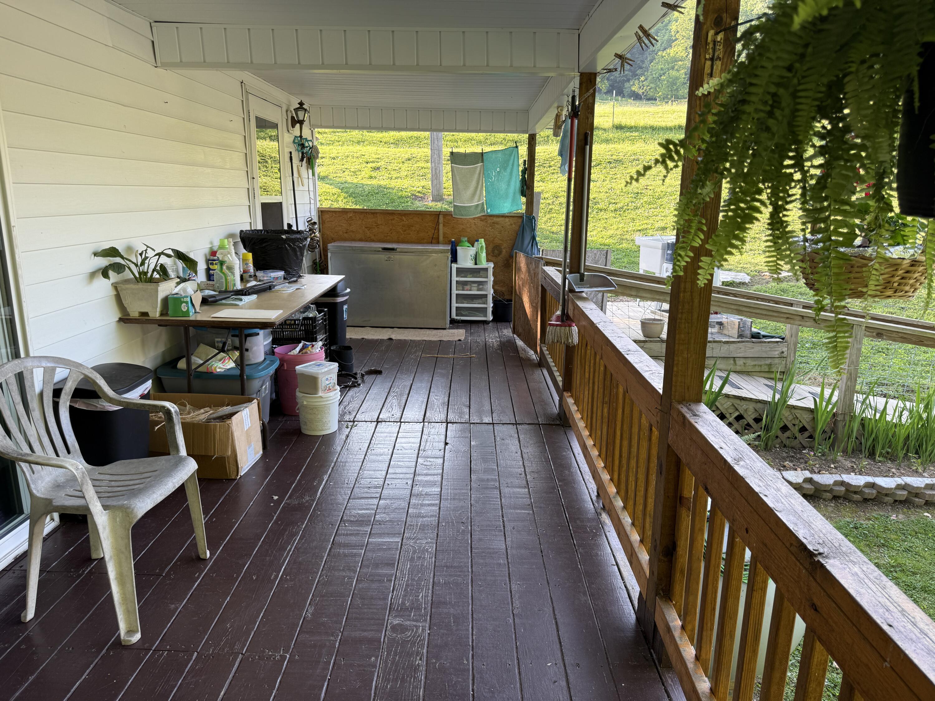 Image 3: IMG_7807