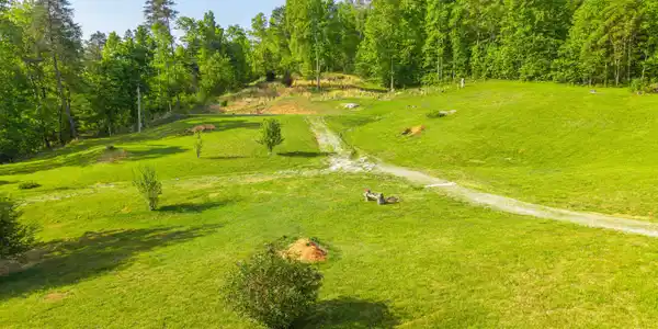 1051 Kelley Lane Spann Hill